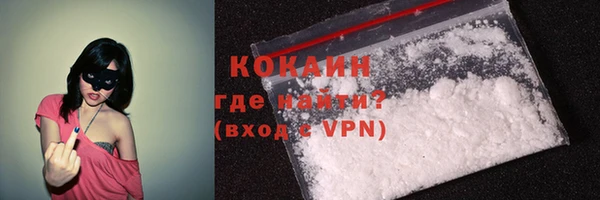 индика Новодвинск