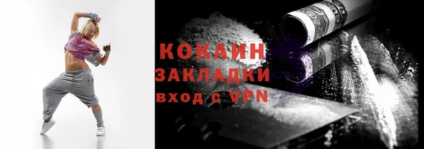 индика Новодвинск
