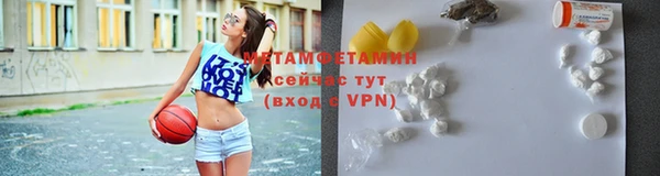 индика Новодвинск