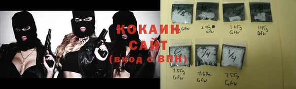индика Новодвинск