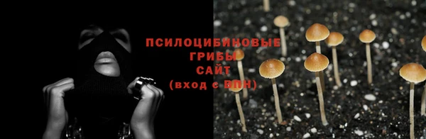 марихуана Новозыбков