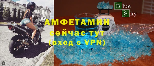 индика Новодвинск