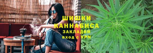 индика Новодвинск