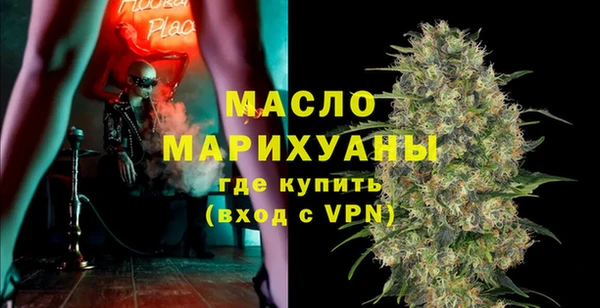 индика Новодвинск
