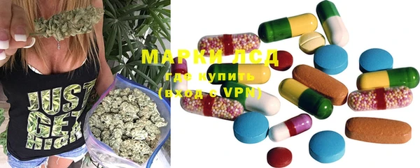 индика Новодвинск