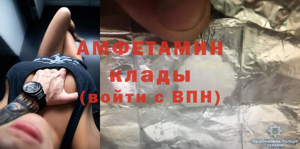 индика Новодвинск