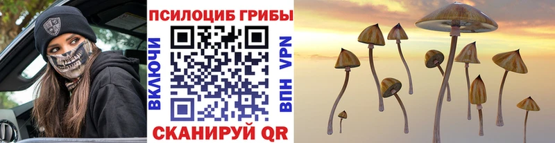 Галлюциногенные грибы Cubensis  Короча 