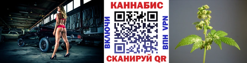 Бошки Шишки VHQ  Короча 